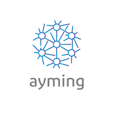 logo AYMING